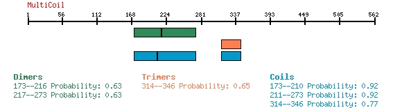 Multicoil predictions for gene uid 147872